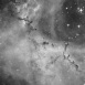 NGC 2239, Nebulosa Roseta